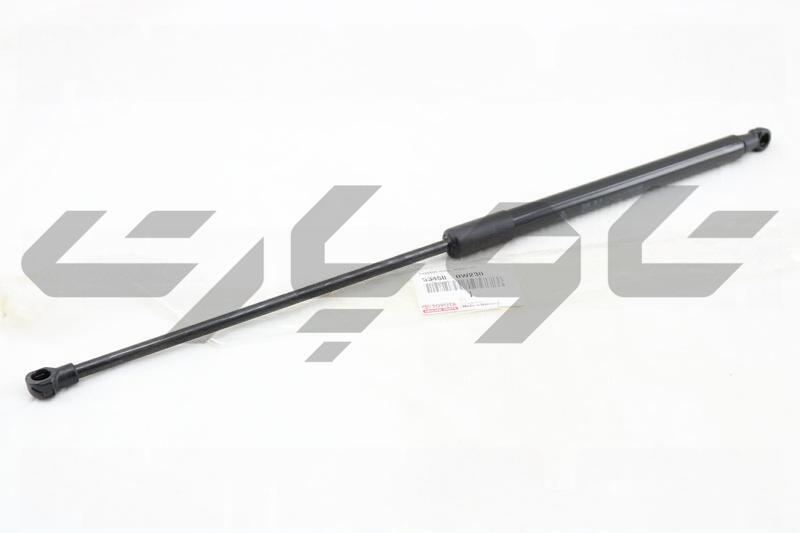 SUPPORT ASSY, HOOD, LH