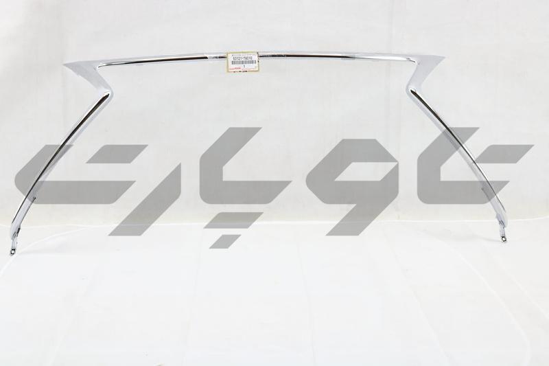 MOULDING, RADIATOR GRILLE