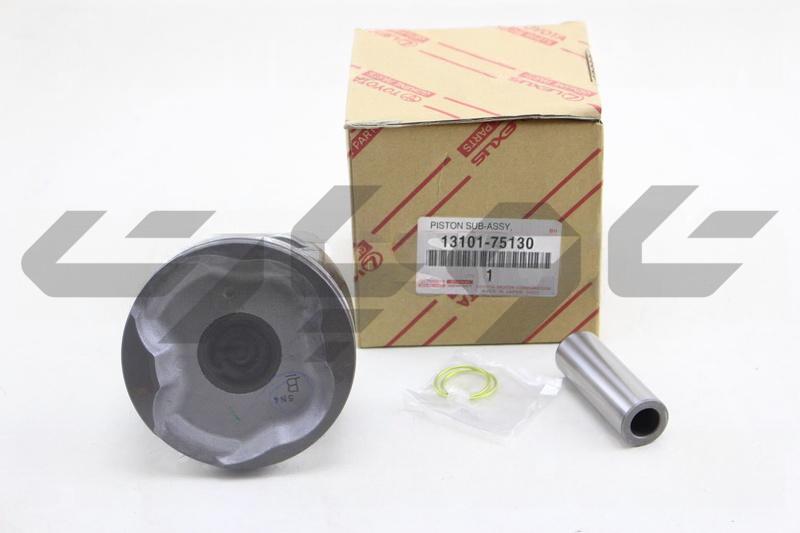 PISTON SUB-ASSY, W/PIN