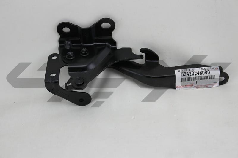 HINGE ASSY, HOOD, LH