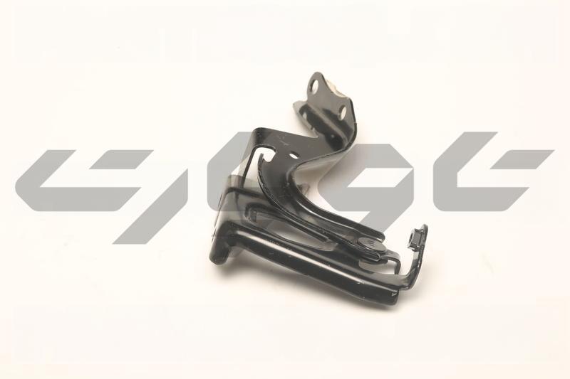 HINGE ASSY, HOOD, RH