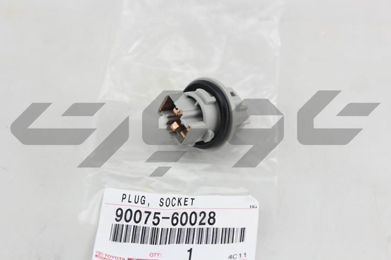 PLUG ASSY, FRONT TURN SIGNAL LAMP