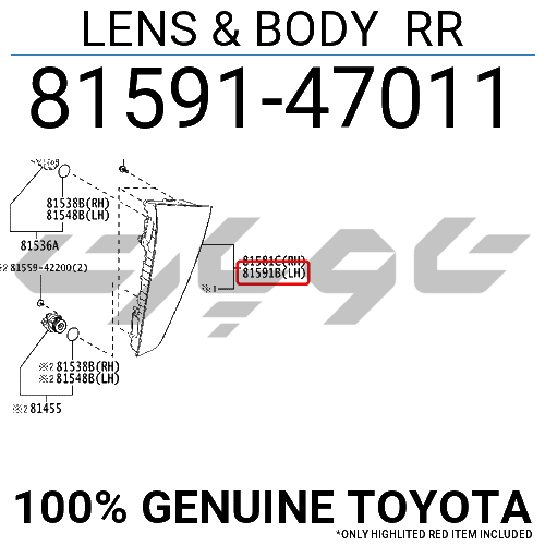 LENS & BODY RR
